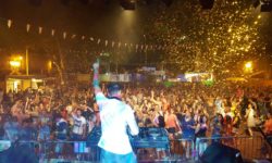 Animation DJ pour Mariage